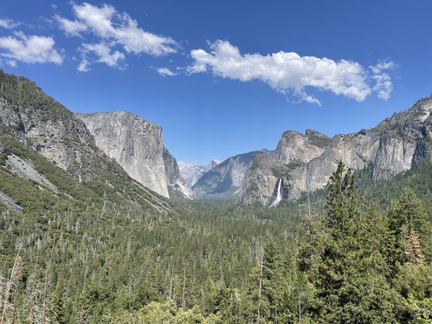 Yosemite, Giant Sequoias, Private Tour From San Francisco - Accessibility Considerations