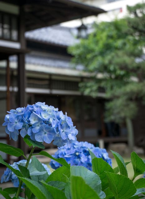 1-Day Tour: Nagoya Castle Review - Kinshachi Yokocho: Lunch Stop