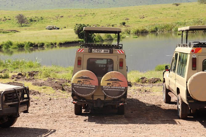 2 Days Tanzania Safaris - Guest Reviews and Ratings