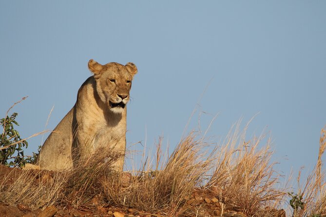 2 Days to Tarangire and Ngorongoro Crater - Cancellation Policy