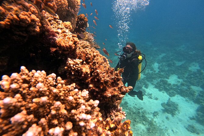 2-Hour Private Scuba Experience in Aqaba - Booking and Cancellation