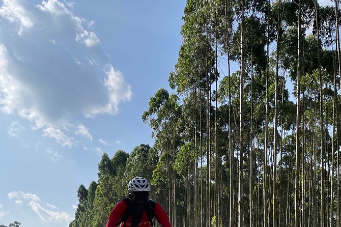 3 Hours Guided Cycling Tour Across Lake Victoria - Cancellation Policy