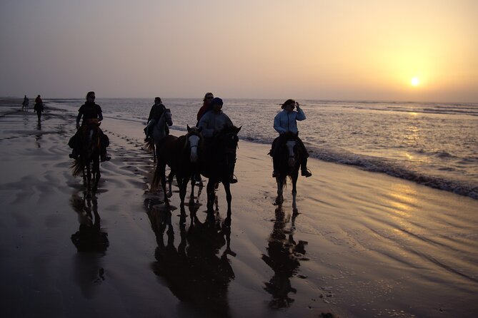 3 Hours Horse Riding in Essaouira, Beach, Forest and Dunes - Duration and Schedule