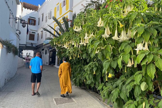 4 Hour Private Tour of Tangier - Cap Spartel and Kasbah