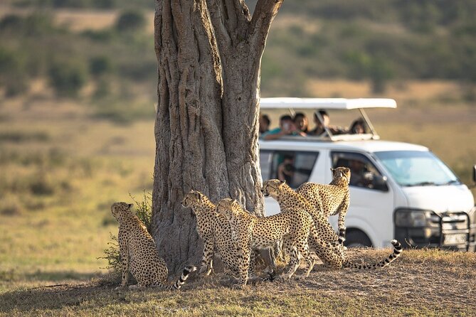 5-Day Lakes and Masai Mara Plains 4 X 4 Safari - Spotting the Big Five