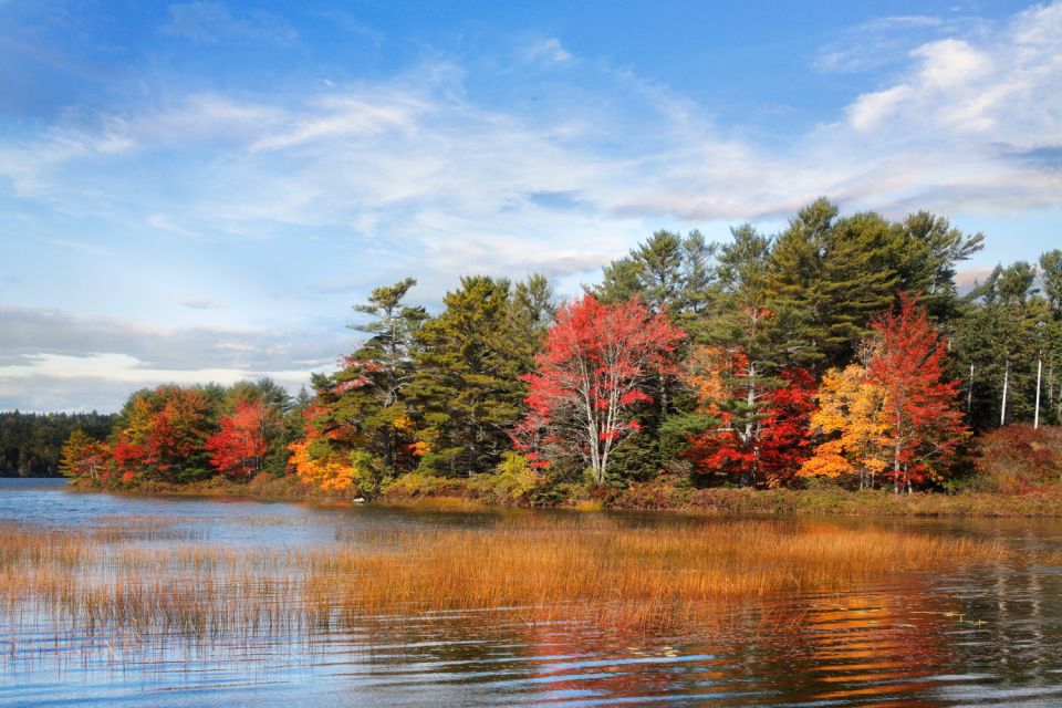 Acadia: Mount Desert Island Self-Guided Driving Tour - Essentials and Self-Guidance