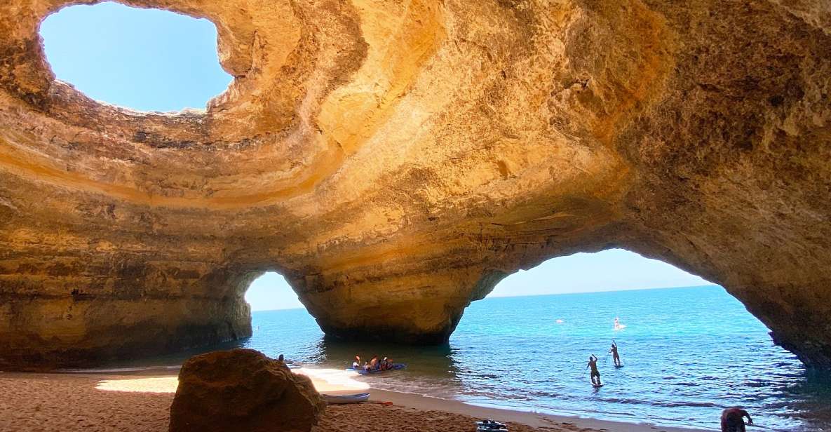 Albufeira: Benagil Caves & Dolphin Watching Speed Boat Tour - Algarve Coastline and Benagil Caves