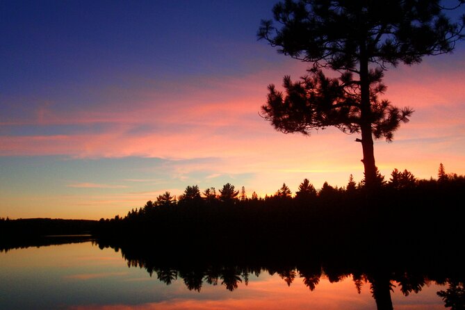 Algonquin Park Luxury 3-Day Camping & Canoeing: Moose/Beaver/Turtle Adventure - Sunrise Moments in the Park