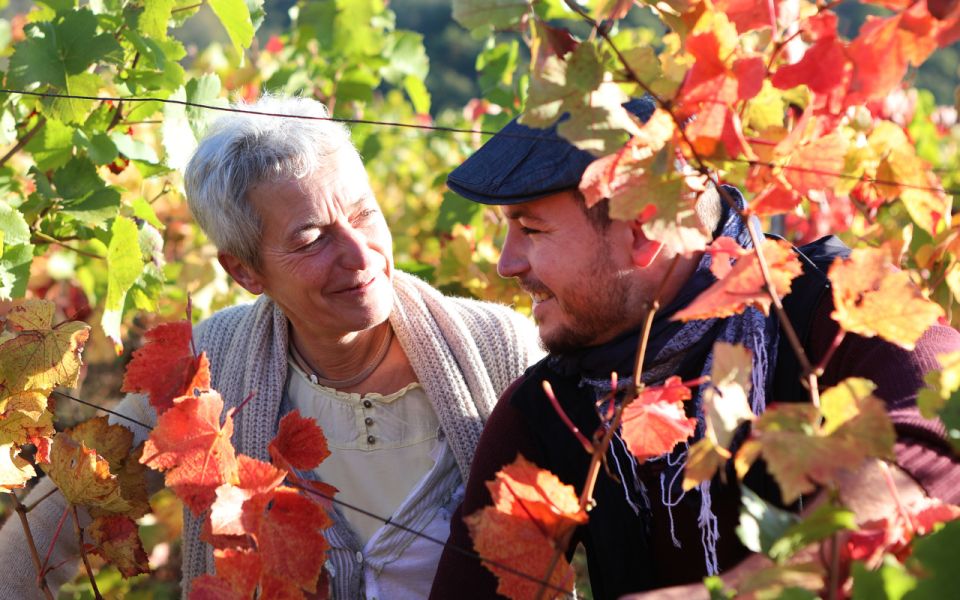 Alsace: Guided Winery Tour in Alsace - Local Wine Tasting - Recap