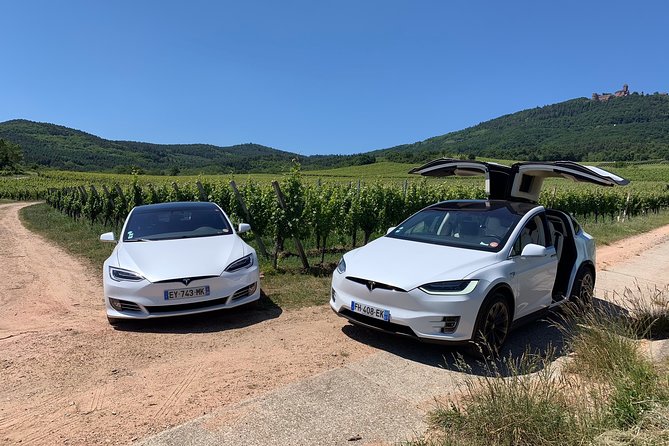 Alsace Private Tailored Tour in a Tesla With a Local - Availability and Confirmation