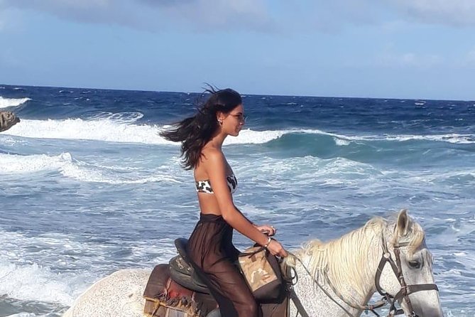 Aruba 2,5 Hrs Horseback Riding for Advanced Riders - Group Size and Experience Level