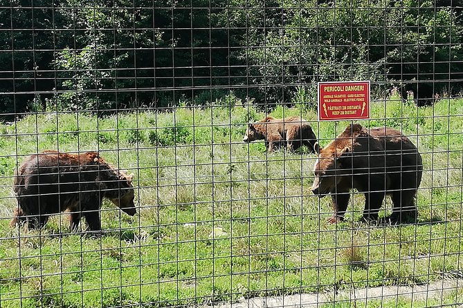 Bear Sanctuary and Draculas Castle, 1-day Private Tour - Recommended Attire and Fitness