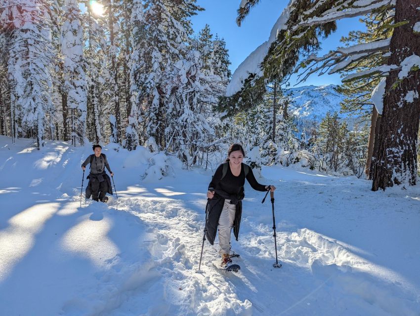 Beginner and Family Snowshoe Tour - Meeting Point and Parking