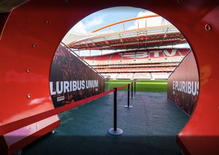 Benfica Stadium and Museum Tour - Walking on the Field