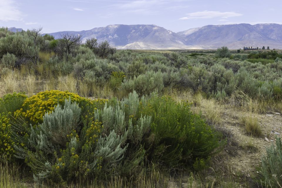 Big Sky Self-Guided Driving Tour - Bozeman Hot Springs and Local Flora