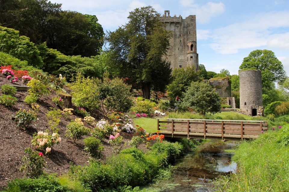 Blarney Castle & Rock of Cashel Private Car Trip From Dublin - Lunch Options and Tour Features