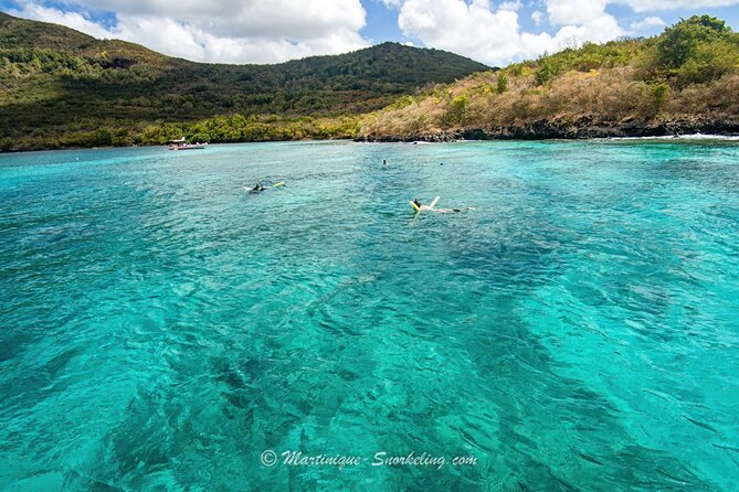 Boat Trip for Snorkeling Discovery of Corals - Additional Considerations