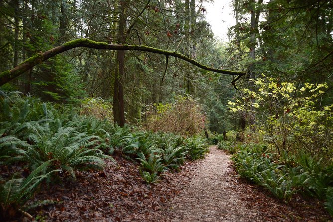 Bowen Island Ferry, Hike & Photography - Photography Tips