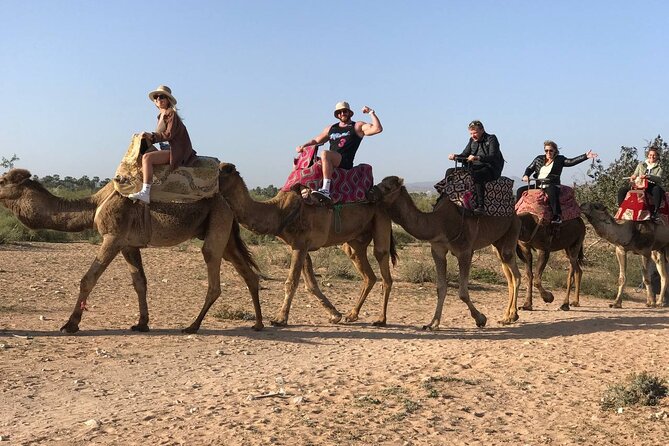 Camel Ride in Agadir at Sunset With Dinner (Bbq) - Group Size and Cancellation Policy