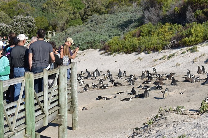 Cape of Good Hope and Penguins Full-Day Tour From Cape Town - Pricing and Refund Policy