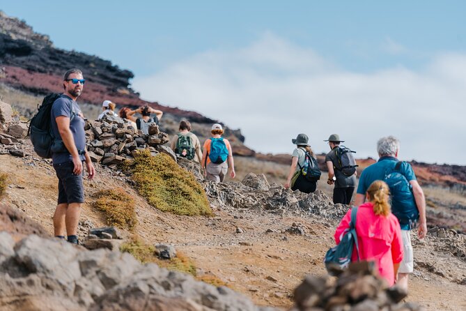 Cape of São Lourenço Full-Day Tour - Gear and Packing Essentials