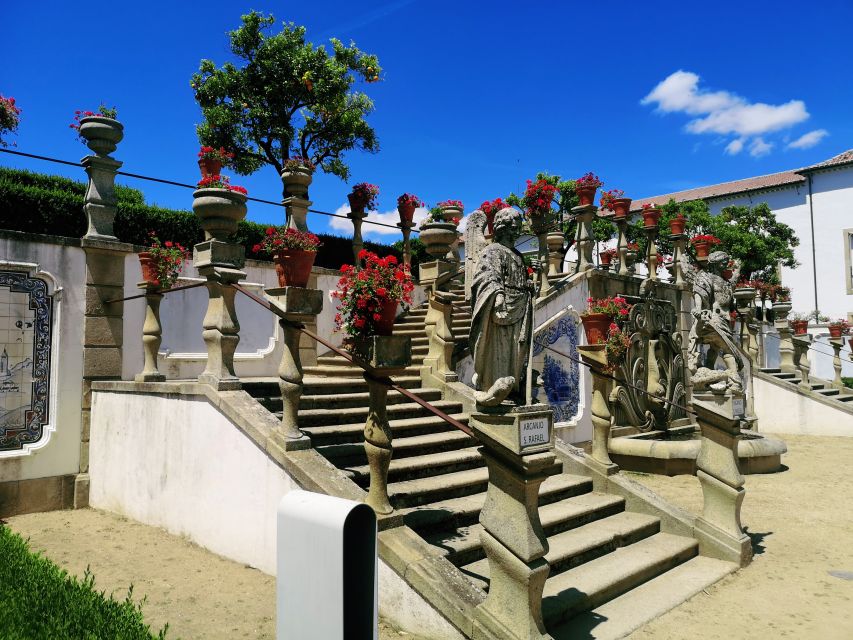 Castelo Branco: Culture and History Guided Tour With Museums - Museu Cargaleiro Visit