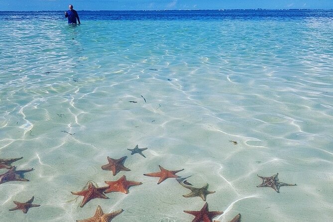 Cayman Adventure: Starfish Point, Stingray City and Coral Gardens - Stingray City Exploration