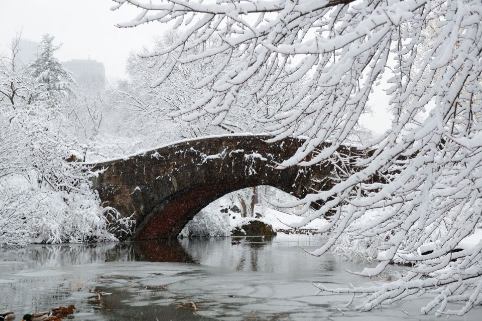 Central Park NYC: First Discovery Walk and Reading Tour - Wandering the Ramble and Lake