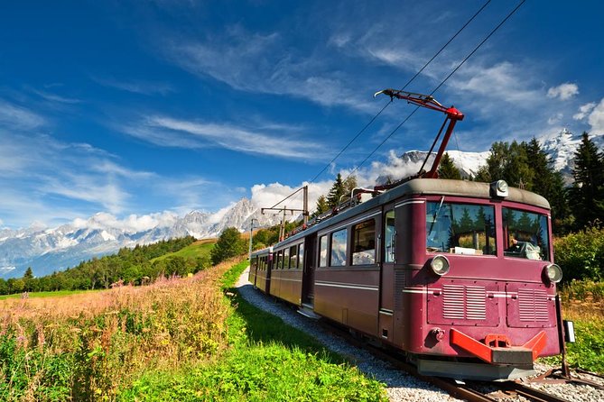 Chamonix and Mont Blanc Private Day Trip From Geneva - Pricing and Booking Information