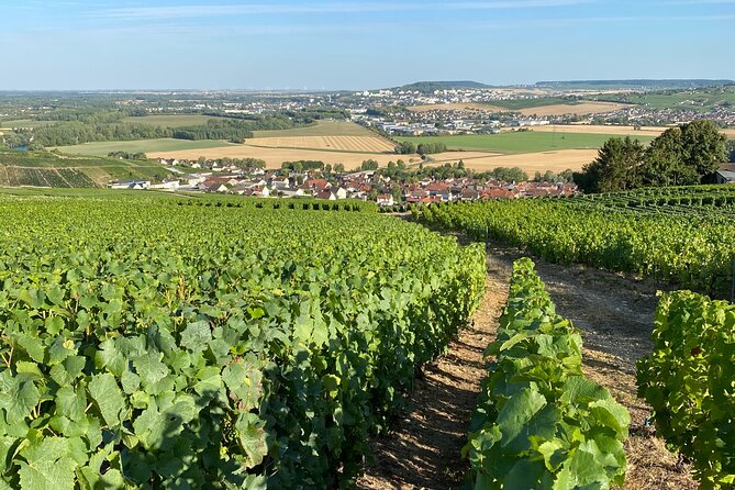 Champagne Cellars & Vineyards Tour From Reims Full Day - Additional Tour Information