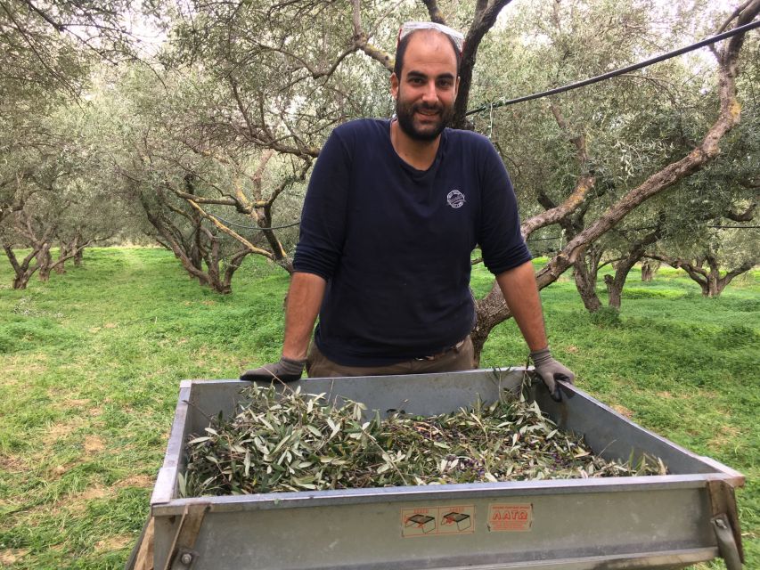 Chania Private Olive Oil Tour: Oil Tasting & Villages Tour - Olive Oil Factory and Tasting