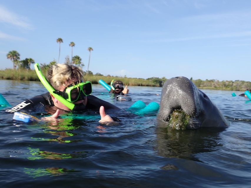 Crystal River: VIP Manatee Swim W/ In-Water Photographer - Wildlife Interaction and Education