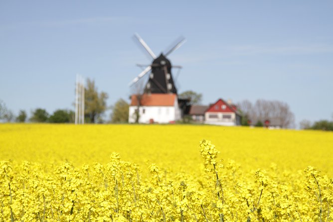 Daytrip Lund & Malmö City Tour - Recommended Lunch Option