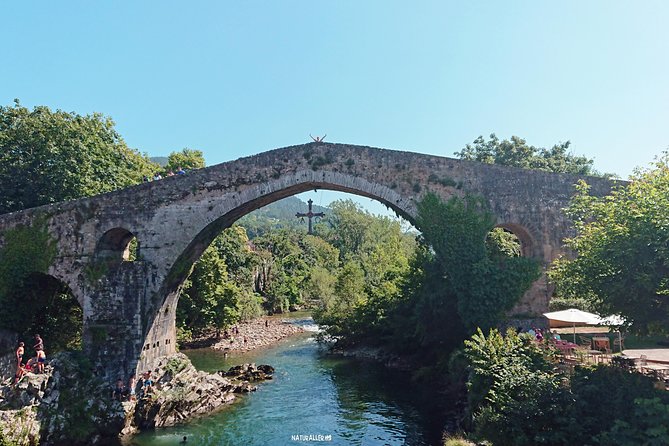 Direct Tour to Covadonga Lakes Picos De Europa From Oviedo - Traveler Reviews and Ratings