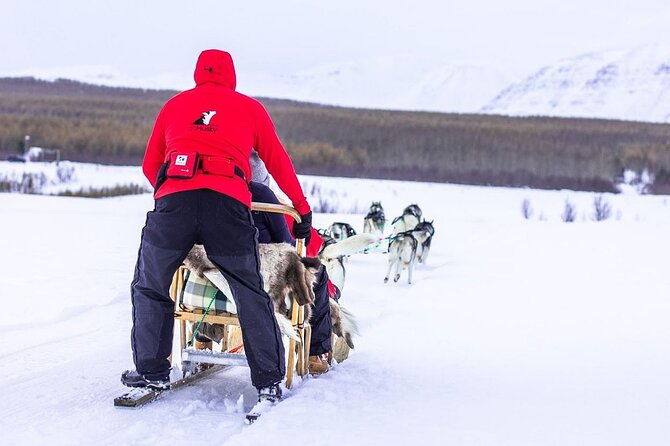 Dogsledding, Near Akureyri - Husky Cuddle Time