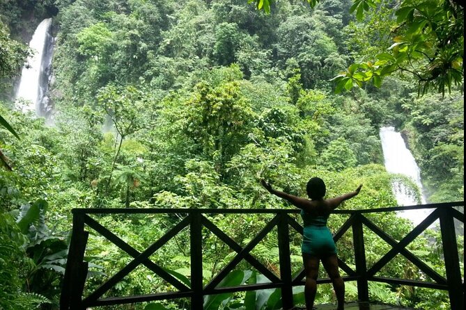 Dominica Chasing Waterfalls Experience - Immersive Activities