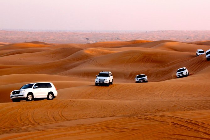 Dubai Desert Safari With BBQ Dinner, Sandboarding, Camels & Shows - Booking Confirmation and Tour Type