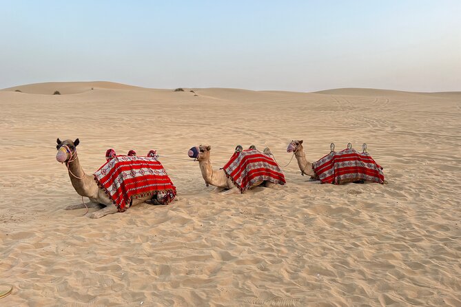 Dubai Red Desert Safari on Private 4x4, Sand Boarding, Camel 4hrs - Sand Boarding and Dune Bashing