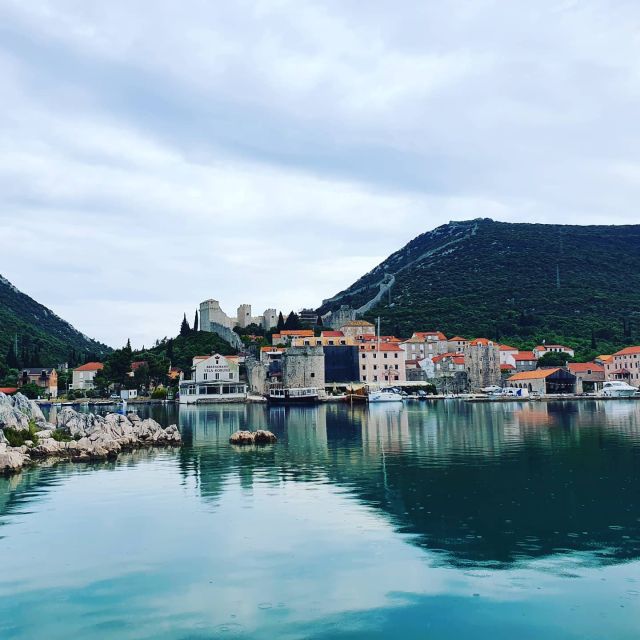 Dubrovnik: Day Trip to 3 Peljesac Wineries With Tastings - Winery Tours and Tastings