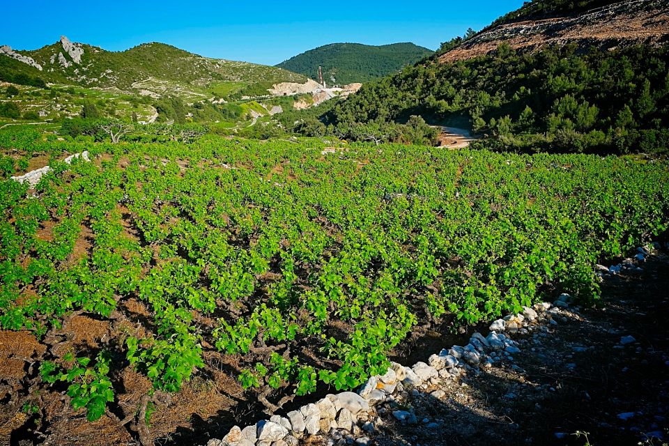 Dubrovnik: Deep Red Wine Tour of Pelješac - Exploring Pelješac Peninsula