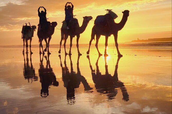 Essaouira 2-Hour Camel Adventure Ride - Booking Confirmation and Cancellation Policy