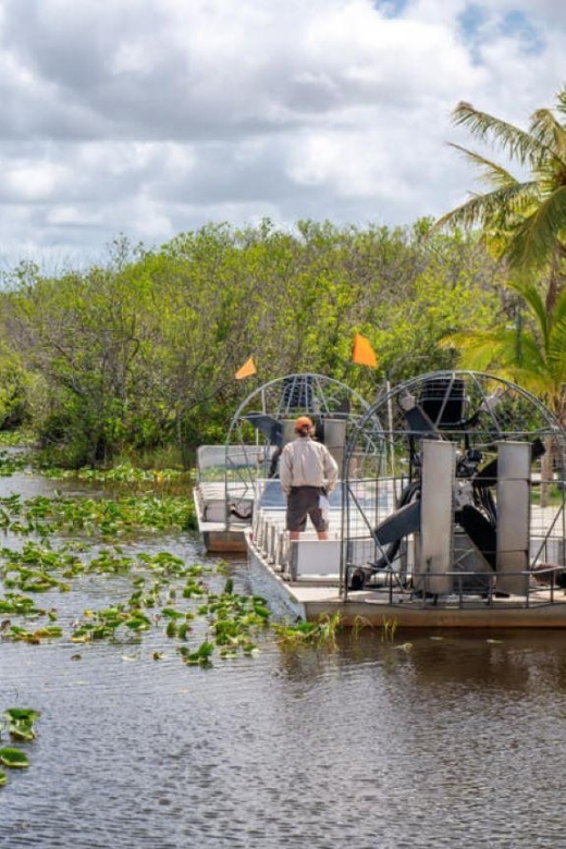 Everglades Airboat Tours and Rides - Alligator and Wildlife Encounters