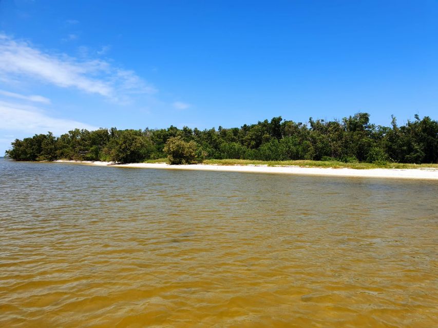 Everglades National Park: Motorboat Eco Tour - Meeting Point and Directions