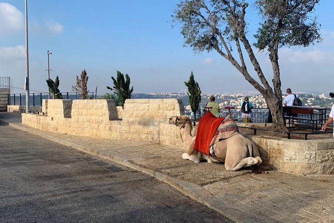 Explore Jerusalems Old City - Logistics and Meeting Point