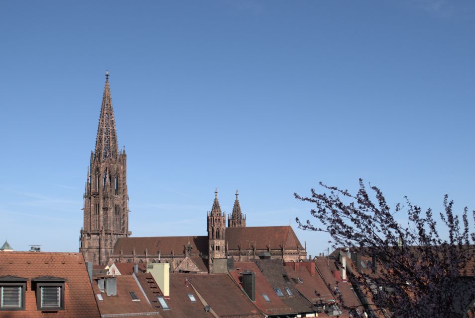 Freiburg: Historic City Center Walking Tour - Freiburgs Founding Fathers and Habsburg