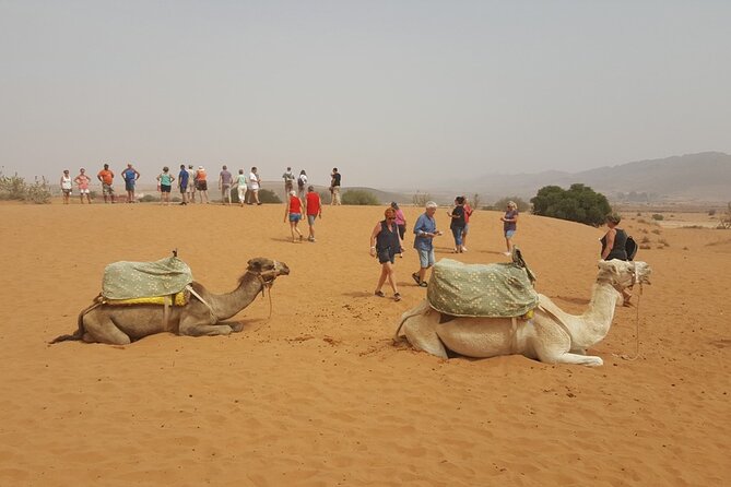 From Agadir or Taghazout: Small Desert Day Trip ​ - Positive Traveler Feedback