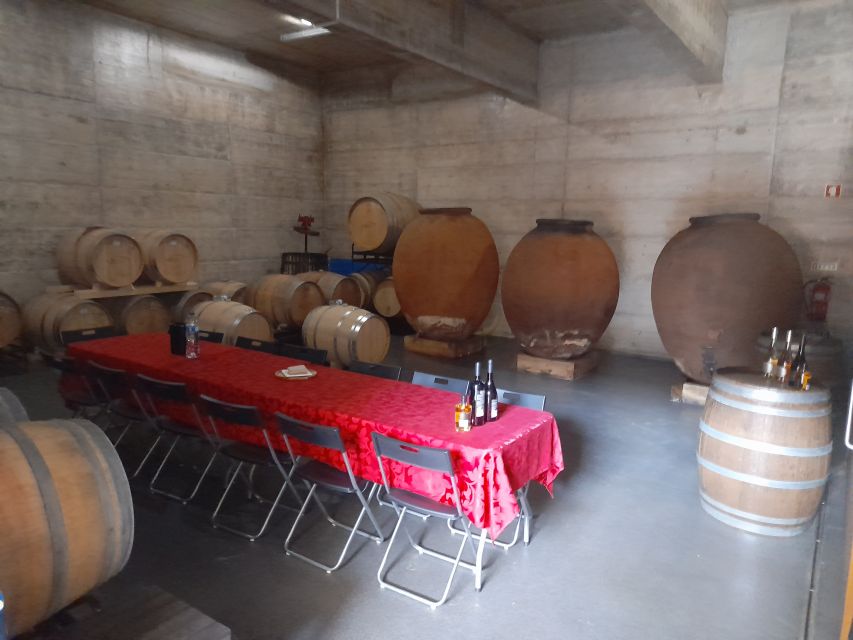 From Albufeira: Private Lagos Tour Whith Wine Tasting - Payment Options