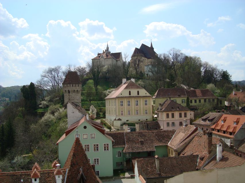 From Brasov: Guided Sighisoara and Sibiu Private Day Trip - Lunch Options in Sighișoara