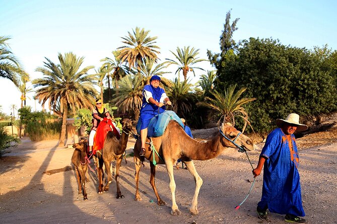 From Casablanca to Marrakech: A Day of History and Culture. - Logistics and Planning