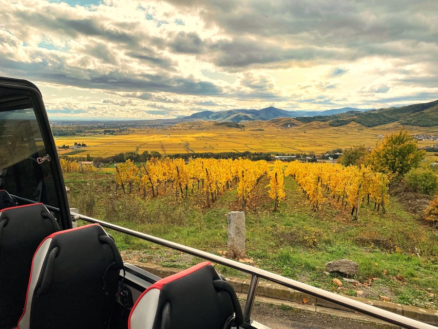 From Colmar: Alsace Medieval and Wine Tasting Day Tour - Target Audience